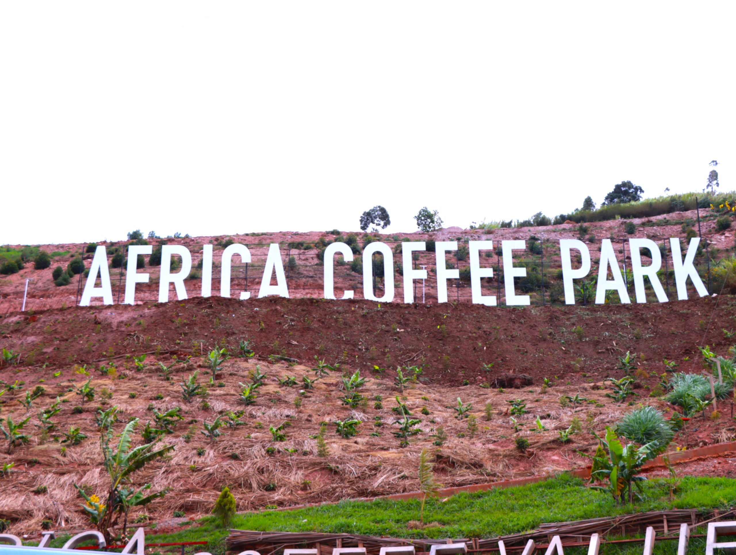 Africa Coffee Park