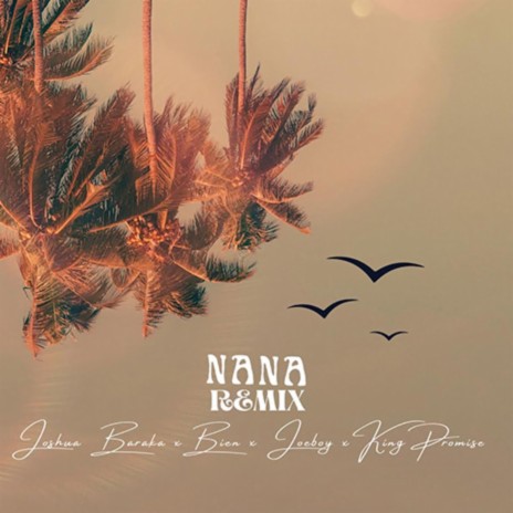 Nana Remix