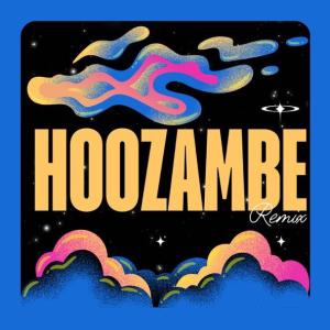 Hoozambe (Remix)