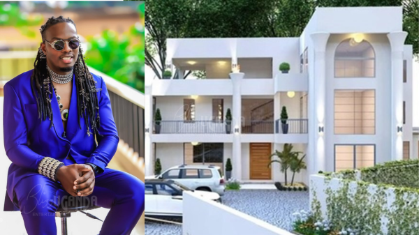 GNL Zamba house Muyenga Mansion: “Welcome to Zambaland”