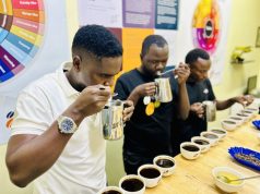 Uganda’s Coffee Prices Finally Bounce Back to Shs14k After Months of Decline, Farmers Can Relax