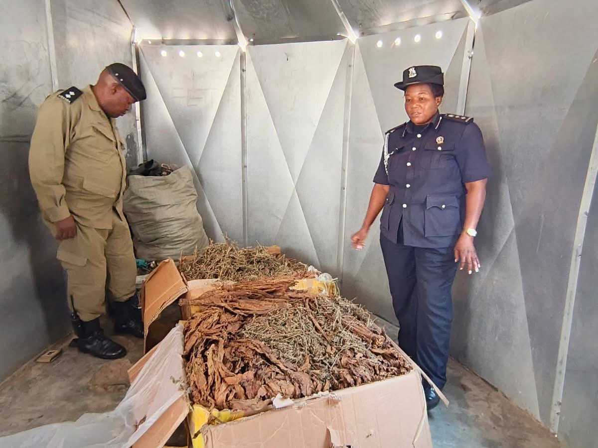 Arua Police Seize 100kg of Marijuana Disguised as Tobacco
