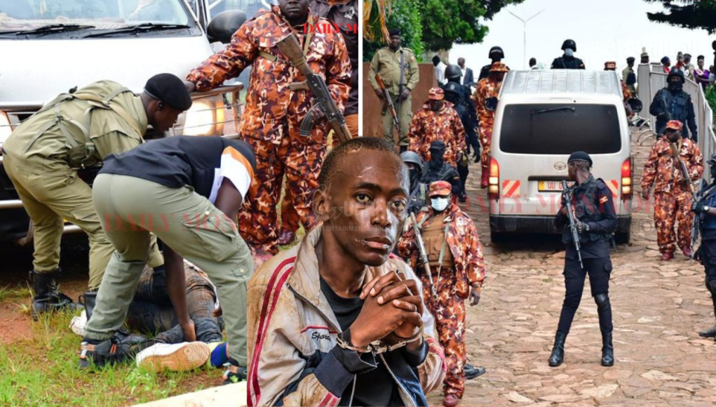 Blizz Featured Photo