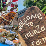 Mlinza Farms for Roast and Rhyme Meat Experience