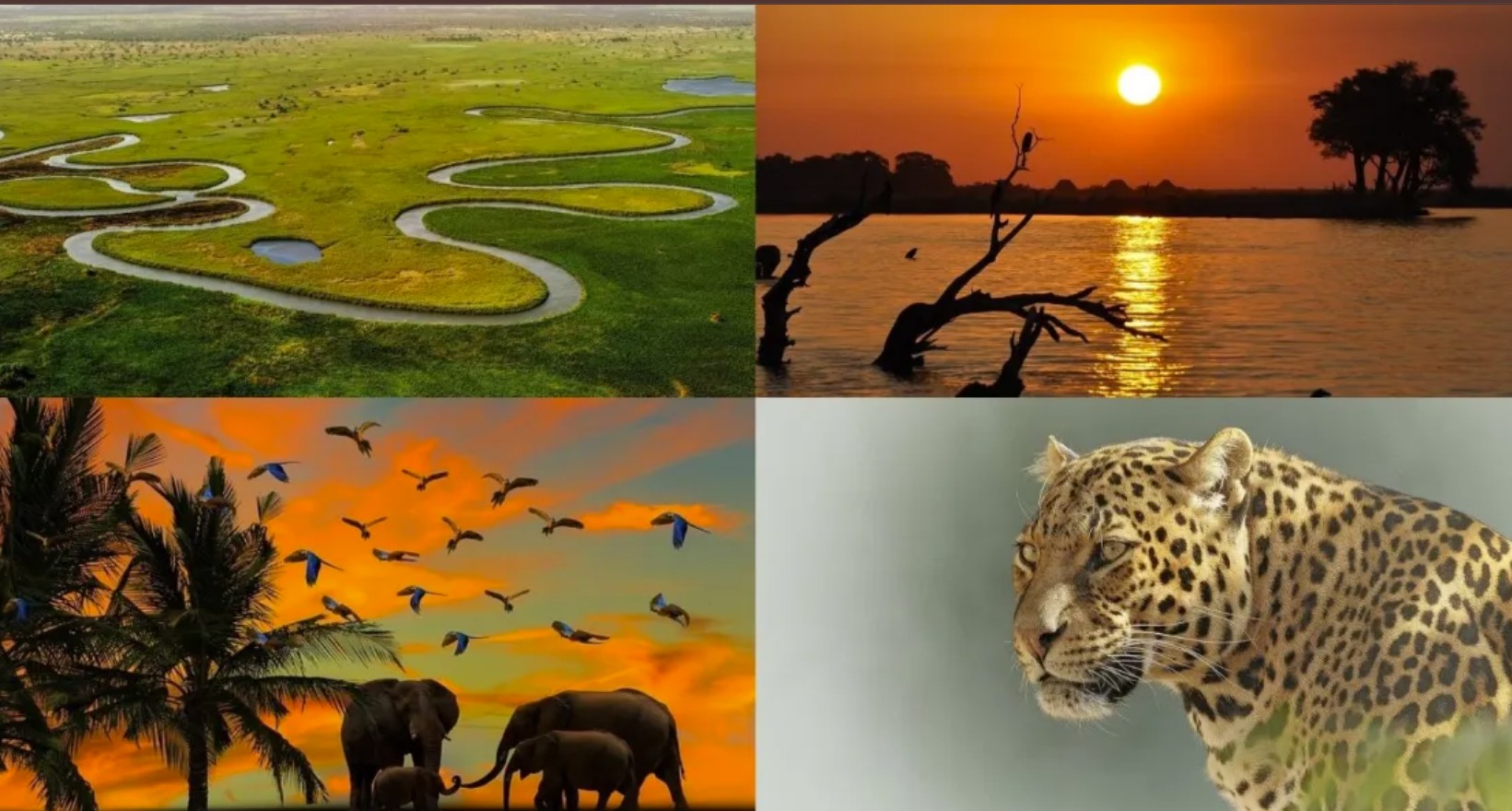 Botswana Tourism