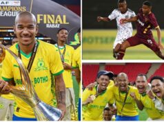 South Africa player Jayden Adams has been reported dead at 25 Jaiden Adams death