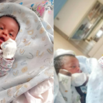 Emma Carlos Mulondo, Emmanuel Mulondo, Emma Carlos Mulondo Jr.